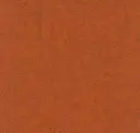 Burnt Orange