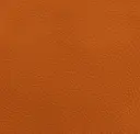 Pumpkin Orange