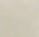Light Cream White