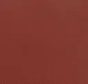 Indian Red