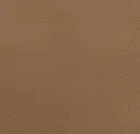 Savana Beige