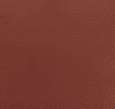 Late Rose Red