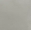 Light Rhino Grey