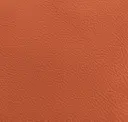 Salmon Orange