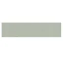 Silver Sage