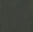 Iron