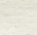 Bone