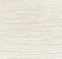Eggshell