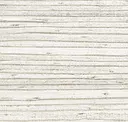 Sea Shell