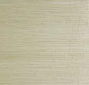 Silver Beige