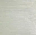 Silver Neutral