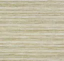Warm Beige
