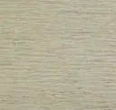 Silver Tan