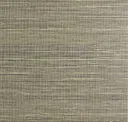 Taupe 01
