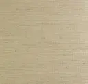 Taupe 02