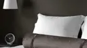 Steel