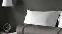 Charcoal