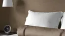 Pebble