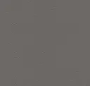Gunmetal