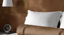 Rum