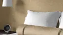 Bone