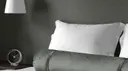 Chinchilla