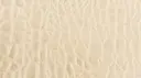 Ivory Beige