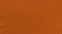 Pumpkin Orange