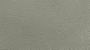 Trout Grey