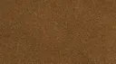 Camel Caramel