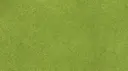 Clover Green