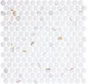 Gilded Vogue