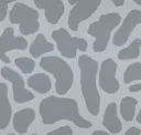 Misty Silver