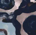 Aquatic Blossom