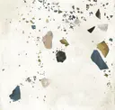 Exploral