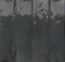 Coal