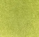 Herb