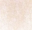 Clay
