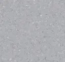 Ice Grey
