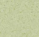 Apple Mint