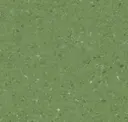 Spruce