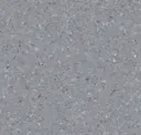 Meteorite