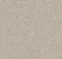 Dusty