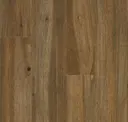 Redwood Bark
