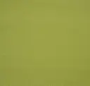 Avocado Green