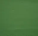 Bamboo Green