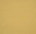 Corn Yellow