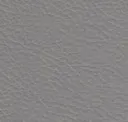 Silver Gray