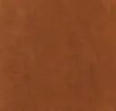 Burnt Umber