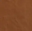 Burnt Umber